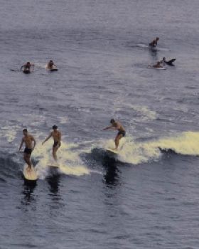 Early Cove