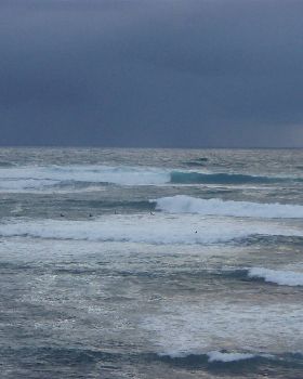 Surfing
