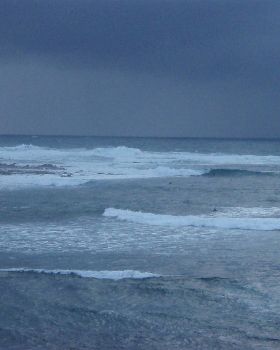 Surfing