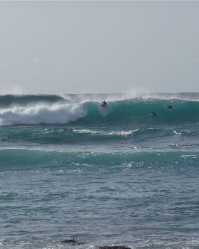 afternoon glide