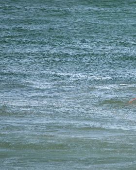 Surfers at Dreamtime Beach