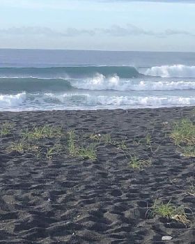 Up the Coast Bali