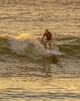 Surfing
