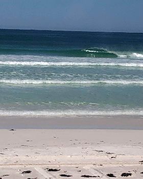 Surfing