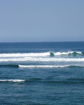 looks more gentle than it is, check the whale out 