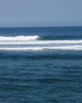 looks more gentle than it is, check the whale out 