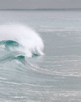 Surfing
