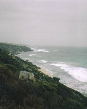 gracetown to injidup 08