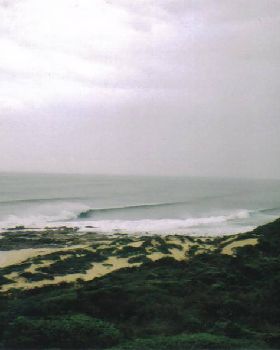gracetown to injidup 08