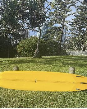 Surfing