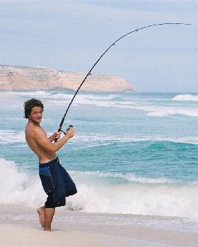 Surfing