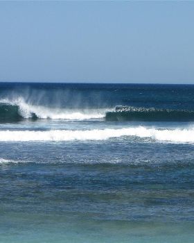 Wedge March 09 237