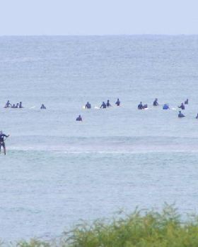 Crowded but no surf