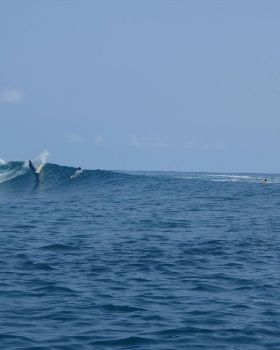 20090408 238