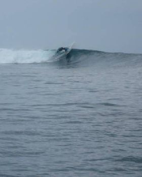 Surfing