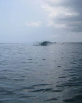 Surfing