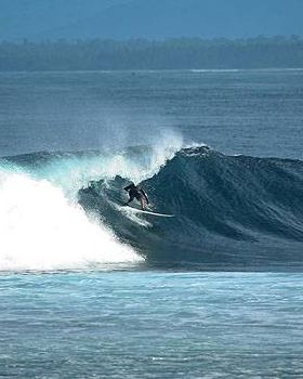 surf