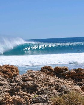 Surfing