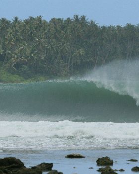 Surfing