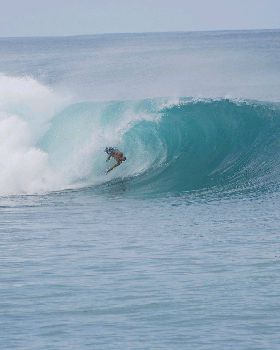 Reef Diving Indo Style