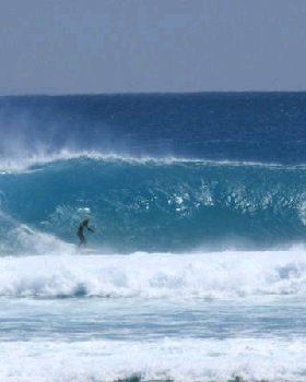 Surfing