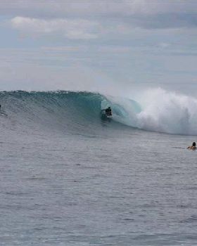 Surfing