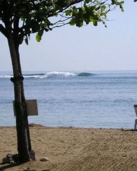 BALI NOV 09 076