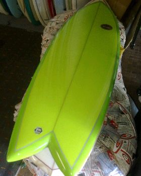 Green tint fish