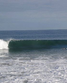 DSC03306