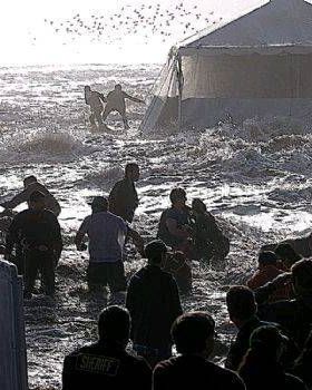 Mavericks spectators