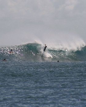 dougie "flea" joyce giving it a 10 outta 10