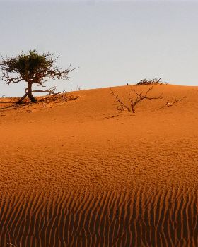 Waroorra dunes