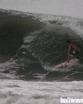 bali22
