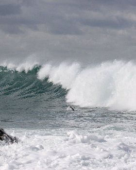 Big Surf Day 163