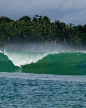 Surfing