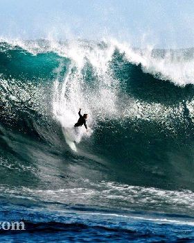 Wipeout