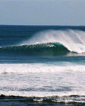 Surfing