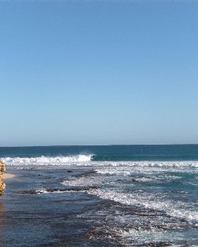 Surfing