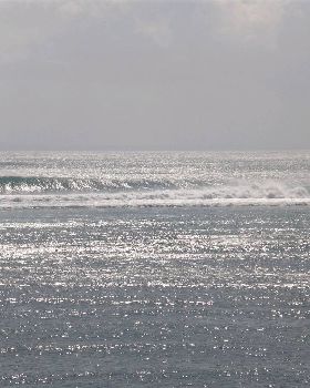 P7150196
