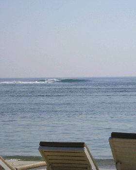 BALI NOV 09 075