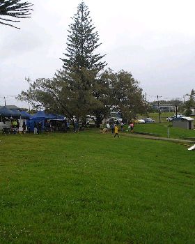 arra 2010 comp