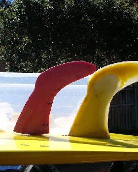 fins