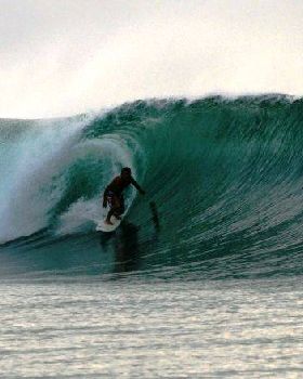 Sandy, the Indocean owner getting his money worth.
