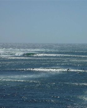 nice swell for new years day