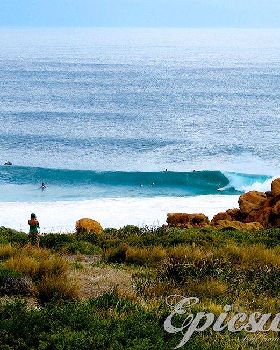Surfing