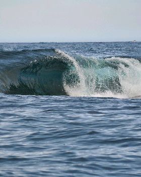 Surfing