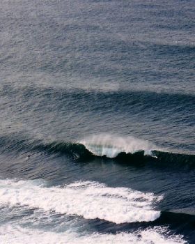Scan10079