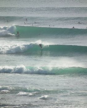 Surfing