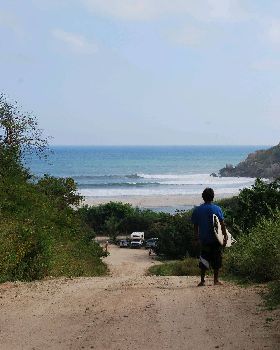 Surfing
