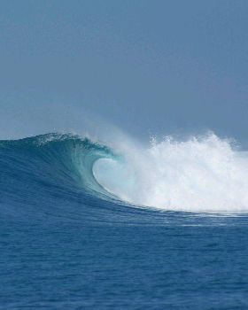 Mentawaii 2009 015